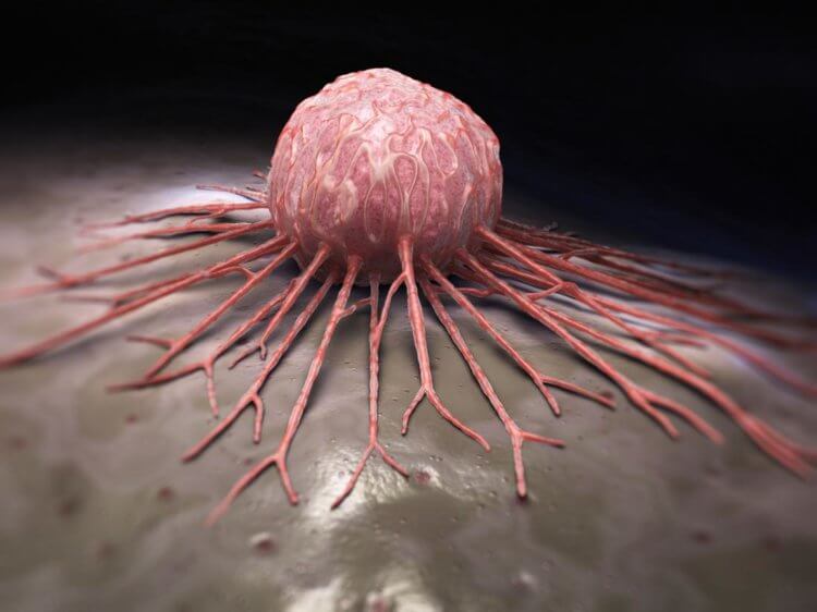Лечение рака мРНК вакцинами поможет при агрессивных формах онкологии